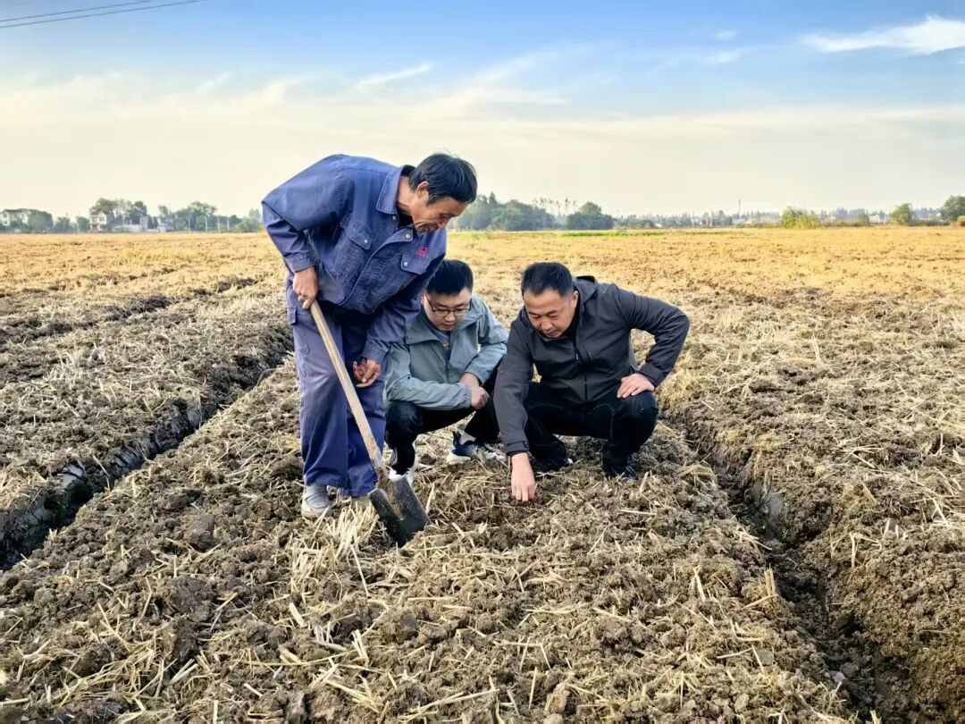 “農技+農機”雙擎驅動，為秋播秋種注入優質“種子力量”